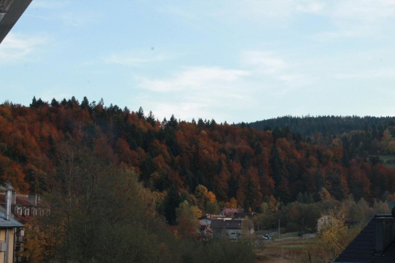 Apartamenty Ski & Fun Spokojna Wisla Luaran gambar